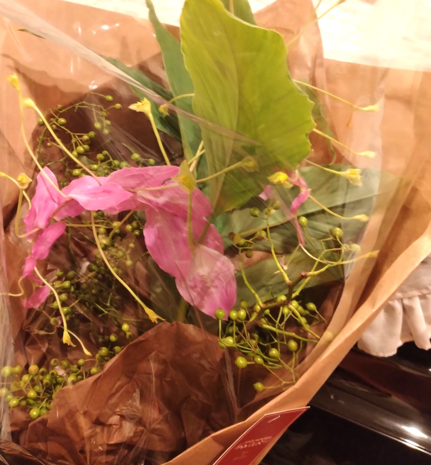 夏の夜の音楽会　ご来場ありがとうございました