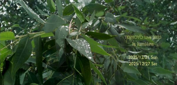 TOMOYO Live 2025 ”la lumière”