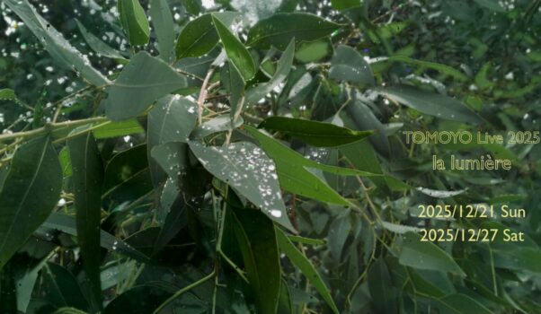 TOMOYO Live 2025 ”la lumière”