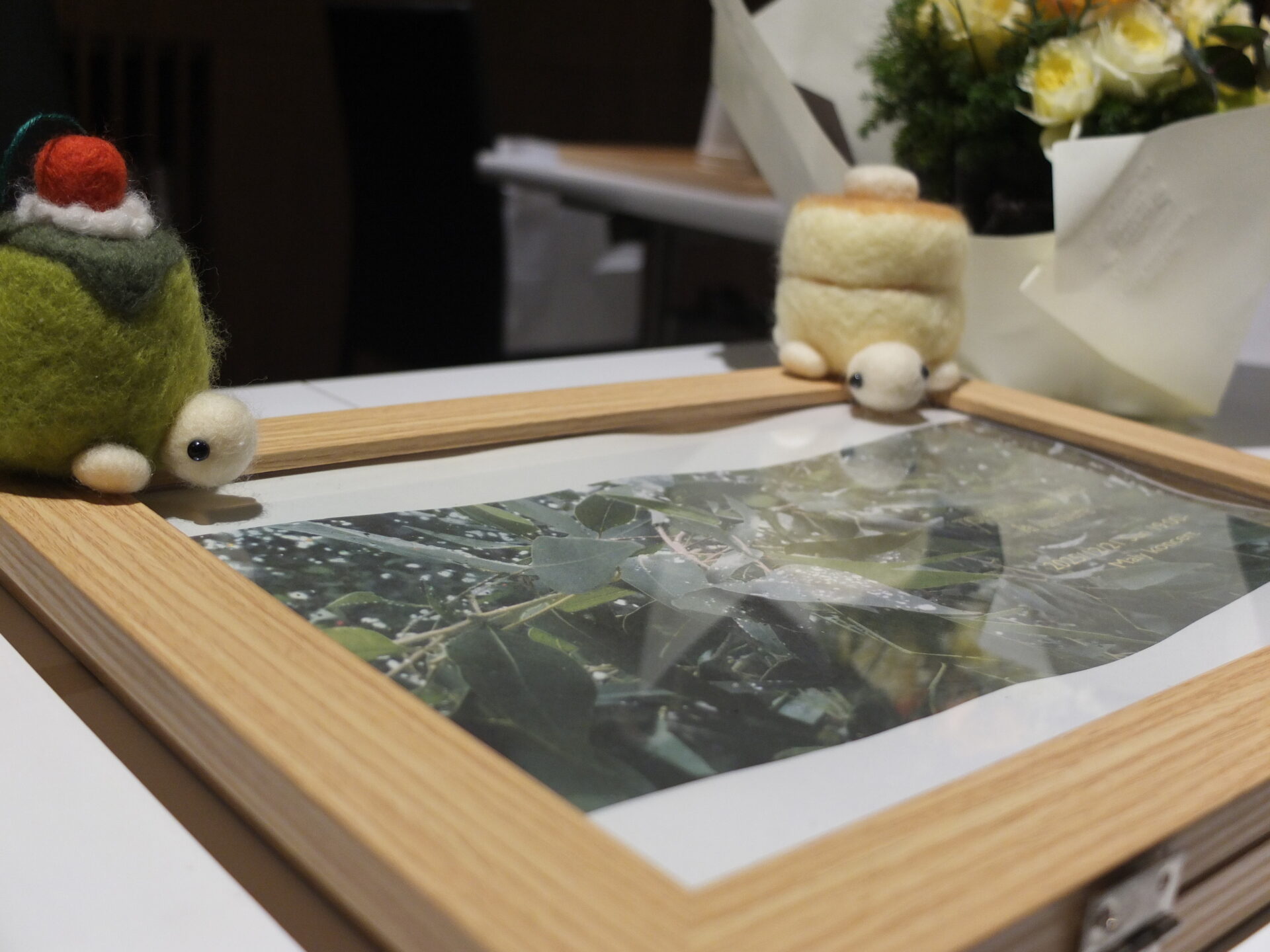 la lumière ご来場ありがとうございました